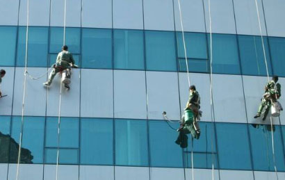 绿化养护的标准